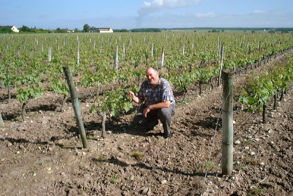 vineyard loire steve 1